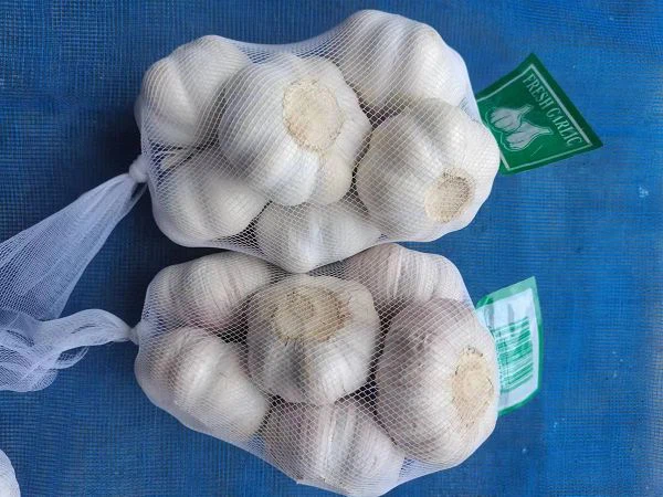 8cbc45ac-672b-43ad-9a5f-71f830492c58(001)