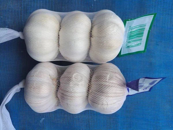 c8273101-1058-4c94-b535-57f68aadb680(001)